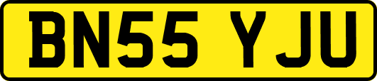 BN55YJU