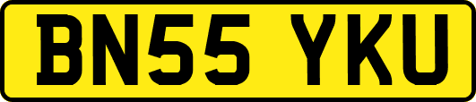 BN55YKU
