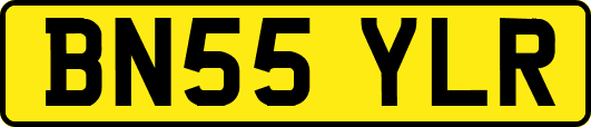 BN55YLR