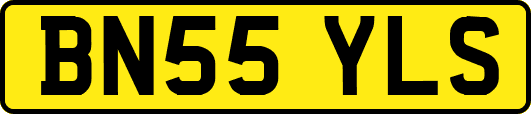 BN55YLS
