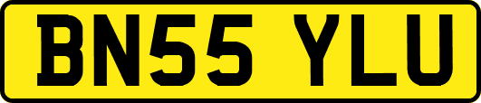 BN55YLU