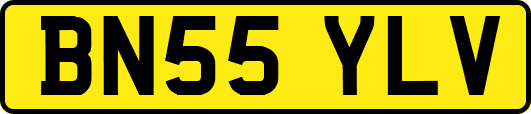 BN55YLV