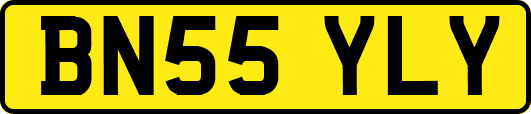 BN55YLY