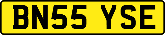 BN55YSE