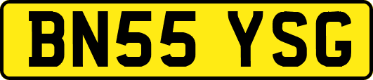 BN55YSG