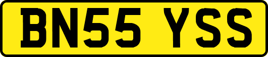 BN55YSS