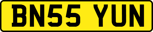BN55YUN