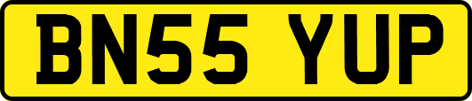 BN55YUP