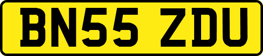 BN55ZDU