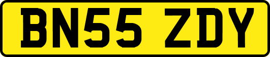 BN55ZDY