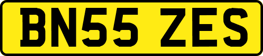 BN55ZES