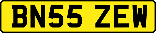 BN55ZEW