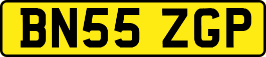 BN55ZGP