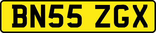 BN55ZGX