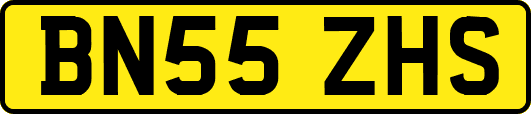 BN55ZHS