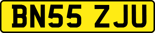 BN55ZJU