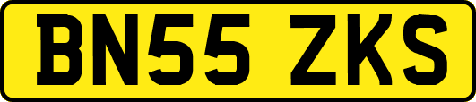 BN55ZKS