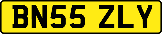 BN55ZLY