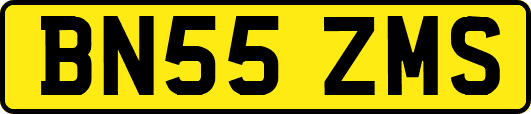 BN55ZMS