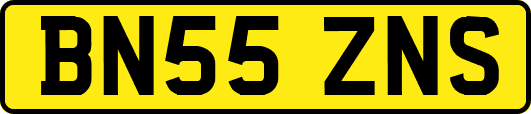 BN55ZNS
