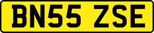 BN55ZSE