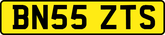BN55ZTS