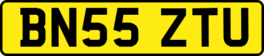 BN55ZTU