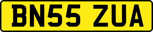 BN55ZUA