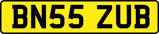BN55ZUB