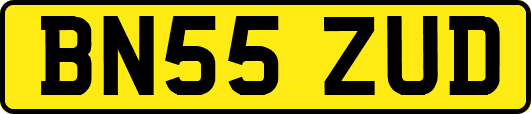 BN55ZUD
