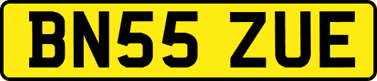 BN55ZUE