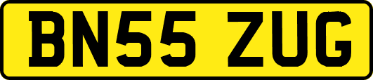 BN55ZUG