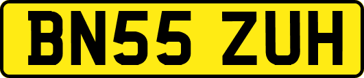 BN55ZUH