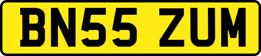 BN55ZUM