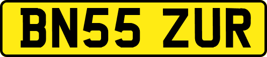 BN55ZUR