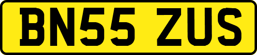 BN55ZUS