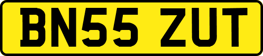 BN55ZUT