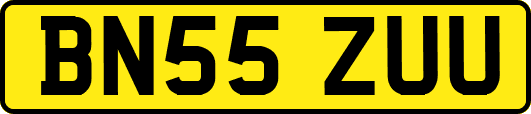 BN55ZUU