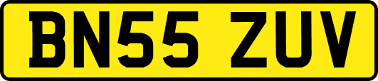 BN55ZUV