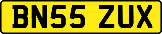 BN55ZUX