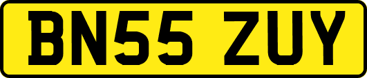 BN55ZUY