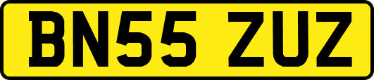 BN55ZUZ
