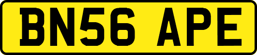 BN56APE