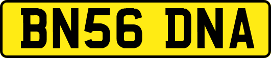 BN56DNA
