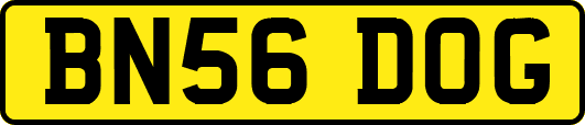 BN56DOG