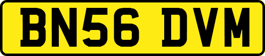 BN56DVM