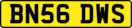 BN56DWS