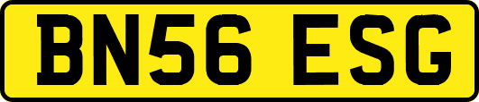 BN56ESG