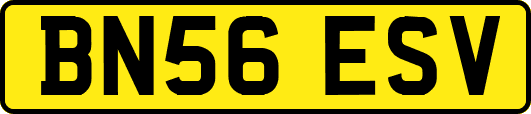 BN56ESV