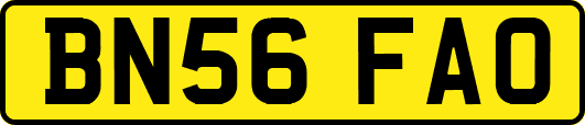 BN56FAO